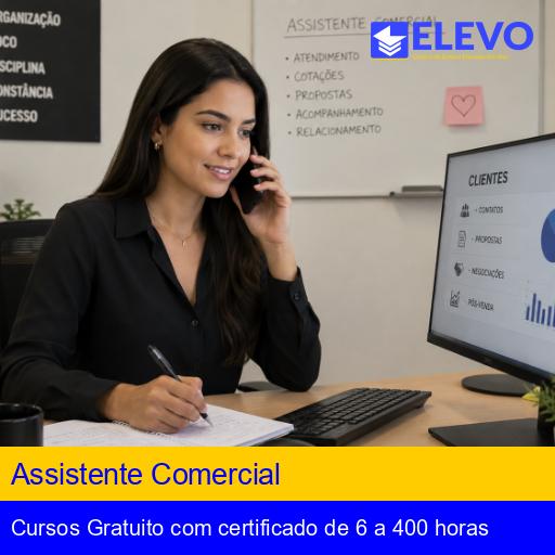 Assistente Comercial